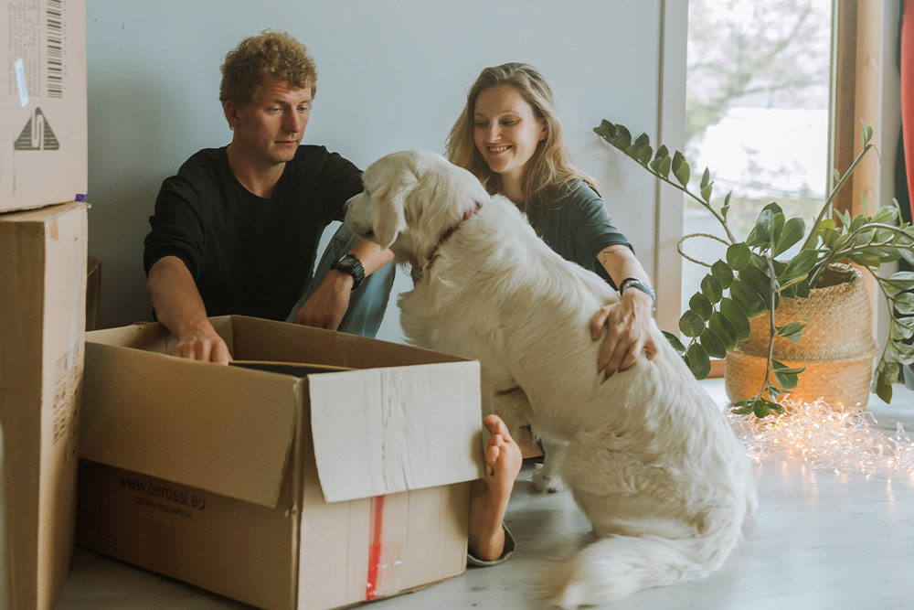 8 Tips for Moving with Pets